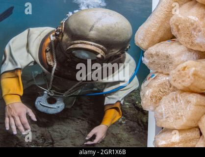image de plongeur éponge à l'extérieur d'un magasin sur l'île grecque de zante zakynthos avec une pile d'éponges à vendre à côté de l'entrée du magasin. Banque D'Images