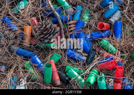 cartouches de fusils usagées laissées sur le sol de la forêt dans divers plastiques de couleur non dégradables. cartouches de tir de 12 trous forêt de litière de fusil de chasse Banque D'Images