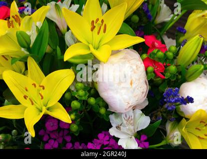 Gros plan d'un assortiment de fleurs aux couleurs vives - idéal pour le papier peint Banque D'Images