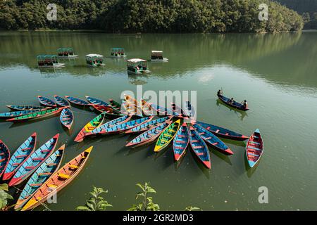 Bateaux colorés au lac de Phewa, Pokhara, Népal Banque D'Images