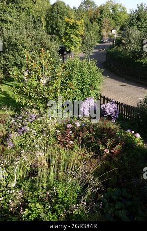 Vorgarten mit bunten Blumen und Gartenteich, Gegenentwurf zum öden Schottergarten, Weilerswist, Nordrhein-Westfalen, Allemagne Banque D'Images