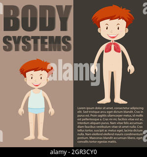 Infographie sur les systèmes pour garçons et pour le corps Illustration de Vecteur