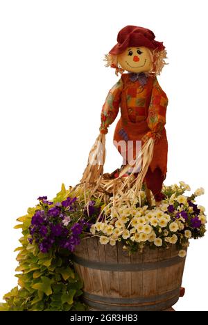 Scarecrow Street Art. Burlap figure est de faire des fleurs plantées dans un canon. Scarecrow porte un chapeau et des vêtements et a un visage heureux. Banque D'Images