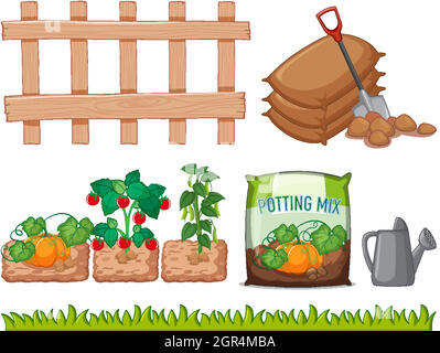 Différents légumes et outils dans le jardin Illustration de Vecteur