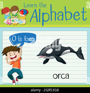 La lettre O est pour orque Illustration de Vecteur