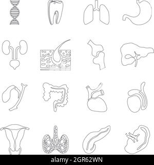 Les organes internes icons set style du contour, Illustration de Vecteur