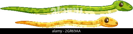 Deux petits serpents différents isolés sur un bacille de travail blanc Illustration de Vecteur