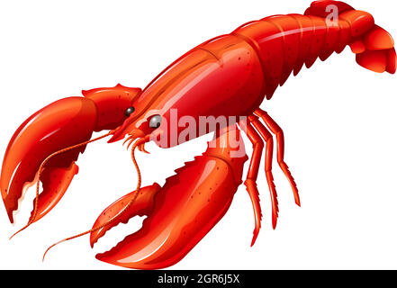 Homard Illustration de Vecteur