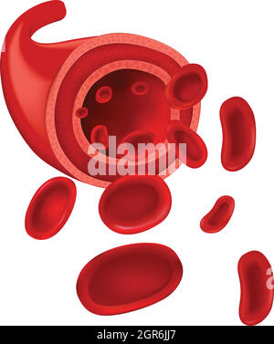 Globules rouges Illustration de Vecteur
