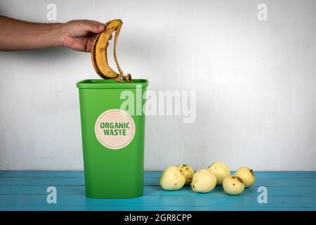 Déchets organiques. La main de l'homme jette un zeste de banane dans un conteneur de déchets vert. Banque D'Images