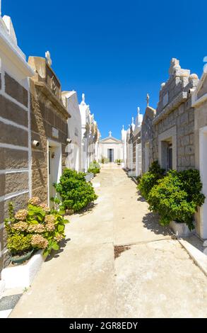 L'intérieur du cimetière marin de Bonifacio, Corse Banque D'Images