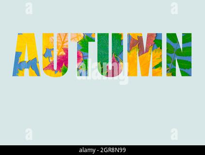 Le mot AUTOMNE composé de feuilles d'automne lumineuses et colorées de différentes plantes, isolées sur un fond bleu pastel. Calendrier d'automne. Automne brillant b Banque D'Images
