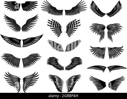 Ensemble de détails naturels sur les ailes Illustration de Vecteur