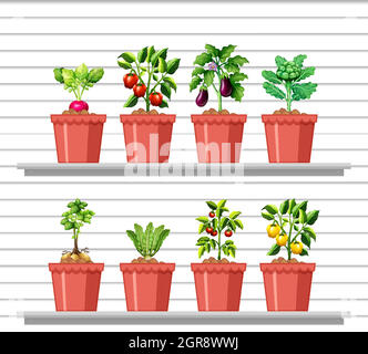 Ensemble de légumes différents dans différents pots sur la tablette murale blanche Illustration de Vecteur