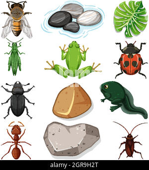 Différents types d'insectes avec des éléments de la nature Illustration de Vecteur