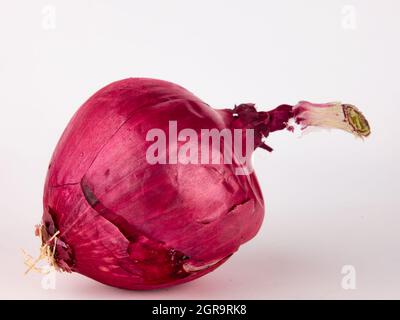 Bulbe d'oignon rouge isolé sur fond blanc Banque D'Images