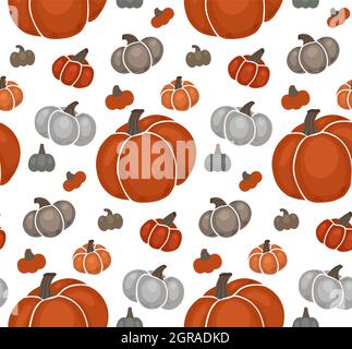 Motif automnal sans couture avec différentes citrouilles grises et orange sur fond blanc. Texture vectorielle avec légumes plats dessinés à la main. Papier peint avec gard Illustration de Vecteur