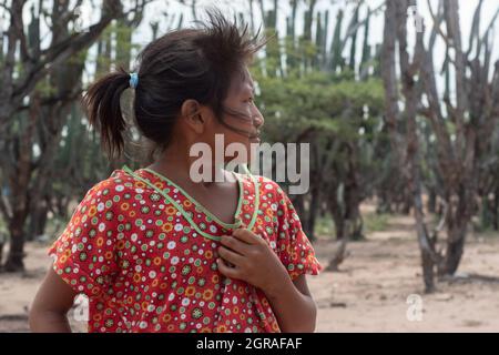 Mayapo, Colombie. 26 septembre 2021. Un enfant pose pour un portrait lors d'une mission humanitaire développée par 'de Corazon Guajira' à Mayapo à la Guajira - Colombie ont-ils visité les communautés indigènes de Wayuu 'Pactalia, Poromana, Perrohuila' le 26 septembre 2021. La région de Guajira, en Colombie, est la plus pauvre de la Colombie, et ses habitants vivent sans eau potable, sans électricité et sans nourriture. Crédit : long Visual Press/Alamy Live News Banque D'Images