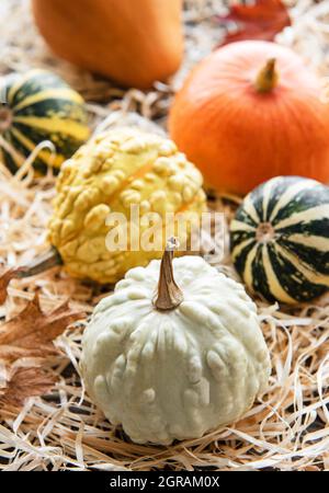 Composition d'automne, saison d'automne confortable, citrouilles et feuilles sur fond de bois. Symbole de fête de Thanksgiving, plat Banque D'Images