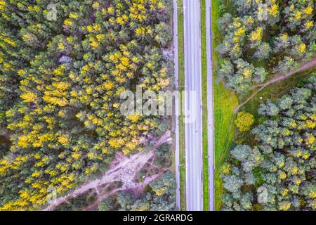 Vue aérienne depuis un drone de routes en béton entrecroisées en traversant les forêts de pins et de feuillages d'automne de couleur jaune-vert. Forêt dense en période dorée et autoroute vide en automne Banque D'Images