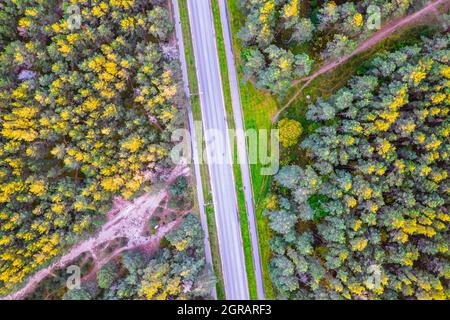 Vue aérienne depuis un drone de routes en béton entrecroisées en traversant les forêts de pins et de feuillages d'automne de couleur jaune-vert. Forêt dense en période dorée et autoroute vide en automne Banque D'Images