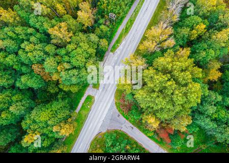 Vue aérienne depuis un drone de routes en béton entrecroisées en traversant les forêts de pins et de feuillages d'automne de couleur jaune-vert. Forêt dense en période dorée et autoroute vide en automne Banque D'Images