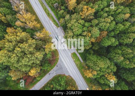 Vue aérienne depuis un drone de routes en béton entrecroisées en traversant les forêts de pins et de feuillages d'automne de couleur jaune-vert. Forêt dense en période dorée et autoroute vide en automne Banque D'Images