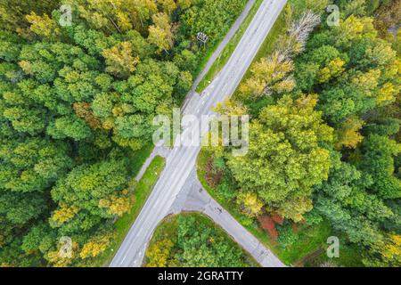 Vue aérienne depuis un drone de routes en béton entrecroisées en traversant les forêts de pins et de feuillages d'automne de couleur jaune-vert. Forêt dense en période dorée et autoroute vide en automne Banque D'Images