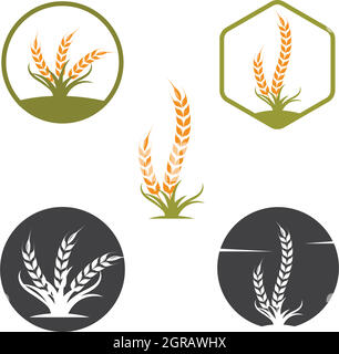 Illustration d'icône de vecteur de blé agricole Illustration de Vecteur