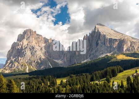 Vue sur Seiser Alm, Alpe di Siusi, sur Langkofel et Plattkofel, Tyrol du Sud Banque D'Images