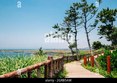 Sentier de montagne de Songaksan avec mer sur l'île de Jeju, en Corée Banque D'Images