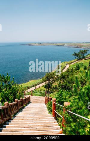 Sentier de montagne de Songaksan avec mer sur l'île de Jeju, en Corée Banque D'Images