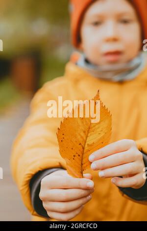 feuille jaune d'automne gros plan des mains de l'enfant. Cadre d'automne avec une feuille jaune. Thème d'automne dans la rue. Cadre vertical Banque D'Images