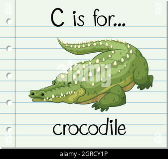 La lettre C de la carte de visite est pour crocodile Illustration de Vecteur