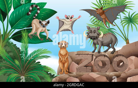 Différents types d'animaux sauvages dans le zoo Illustration de Vecteur