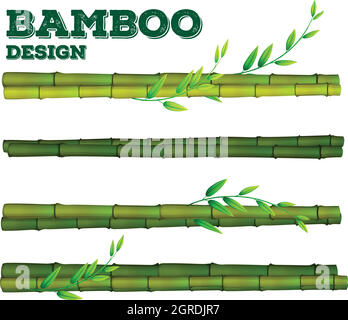 Conception en bambou différente avec tige et feuilles Illustration de Vecteur