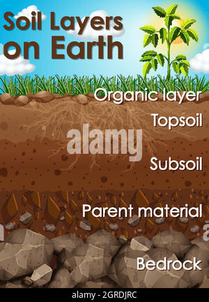 Différentes couches de sol sur terre Illustration de Vecteur