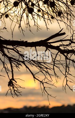 Crépuscule, coucher de soleil en été sur la côte catalane Banque D'Images