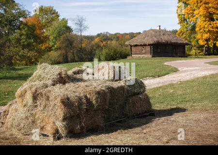 pile de piles de foin devant la maison traditionnelle russe en rondins avec toit de paille près de la voie d'automne avec des érables jaunes d'automne Banque D'Images