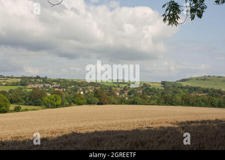 Campagne à Findon sur les South Downs près de Worthing, West Sussex, Angleterre. Avec champ d'orge mûr, village et fort antique de colline de Cissbury Ring. Banque D'Images