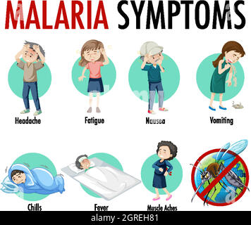 Infographie sur les symptômes du paludisme Illustration de Vecteur