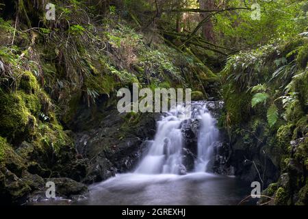 Longue exposition d'une chute d'eau dans Puck's Glen, dans le parc forestier d'Argyll, en Écosse. Banque D'Images