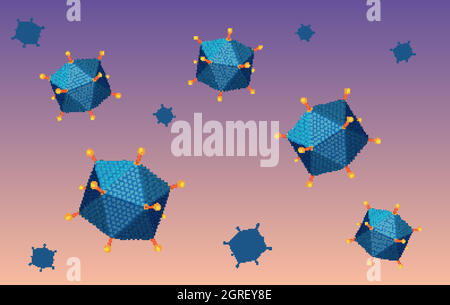 Diagramme de structure de l'adénovirus sur fond blanc Illustration de Vecteur