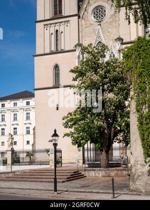 Entrée de l'église d'Admont (Autriche) par une journée ensoleillée au printemps, châtaignier à fleurs Banque D'Images