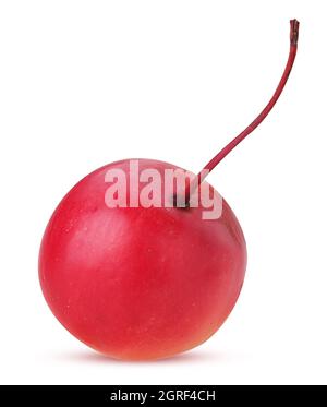 Pommes Paradise isolées sur fond blanc. Masque. Profondeur de champ complète. Banque D'Images