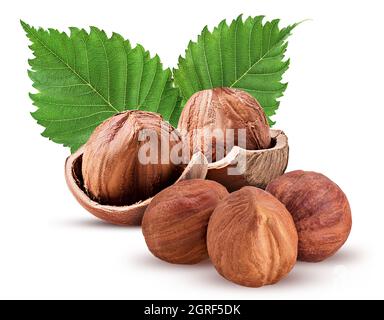 Noisette en coquille et trois pelées, avec feuille. Filbert frais bio isolé sur fond blanc. Masque. Profondeur de champ complète. Banque D'Images