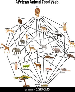 Web africain de nourriture animale sur fond blanc Illustration de Vecteur