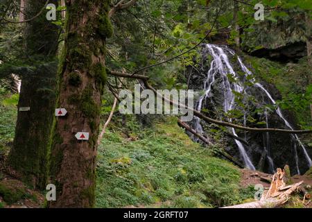 France, Haut Rhin, Sewen, ballon d'Alsace, forêt, Cascade de Wagenstallbach Banque D'Images