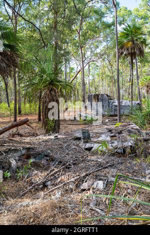 L'épave de l'bombardier de Beaufort qui s'est écrasé a atterri près de Higgins Field, en 1945. Bamaga, Queensland, Australie Banque D'Images