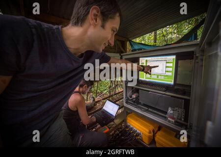 Station de recherche France, Guyane française, Kourou, Paracou (gérée par le Cirad) étudiant les échanges gazeux (cycle du carbone) entre les différentes couches de la forêt tropicale Banque D'Images